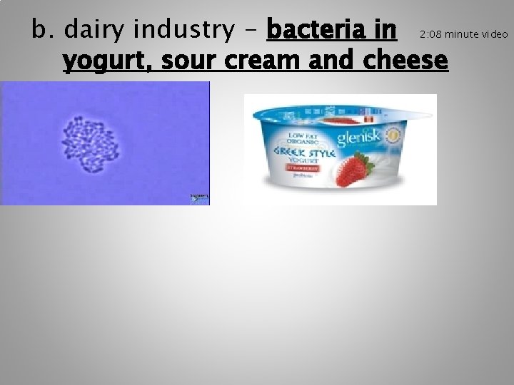 b. dairy industry - bacteria in yogurt, sour cream and cheese 2: 08 minute b. dairy industry - bacteria in yogurt, sour cream and cheese 2: 08 minute