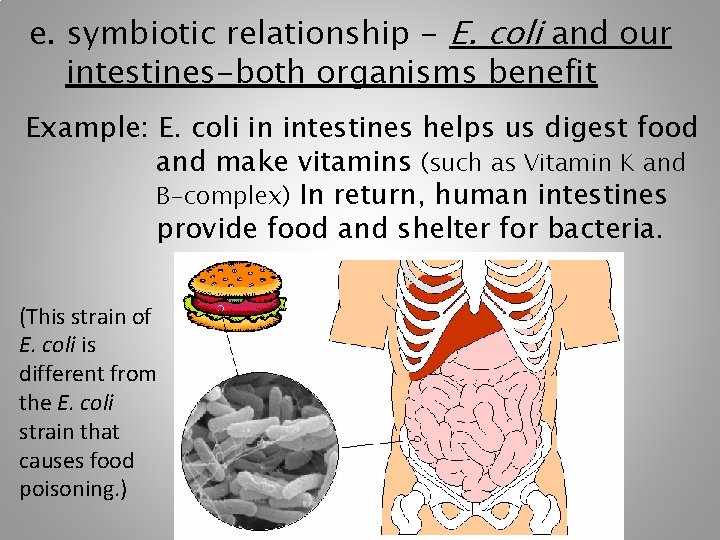 e. symbiotic relationship - E. coli and our intestines-both organisms benefit Example: E. coli e. symbiotic relationship - E. coli and our intestines-both organisms benefit Example: E. coli