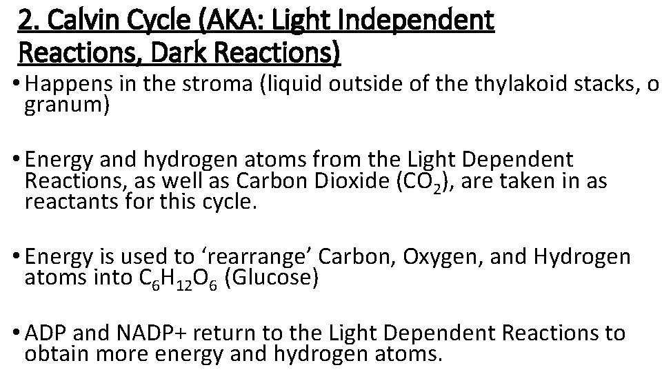 2. Calvin Cycle (AKA: Light Independent Reactions, Dark Reactions) • Happens in the stroma
