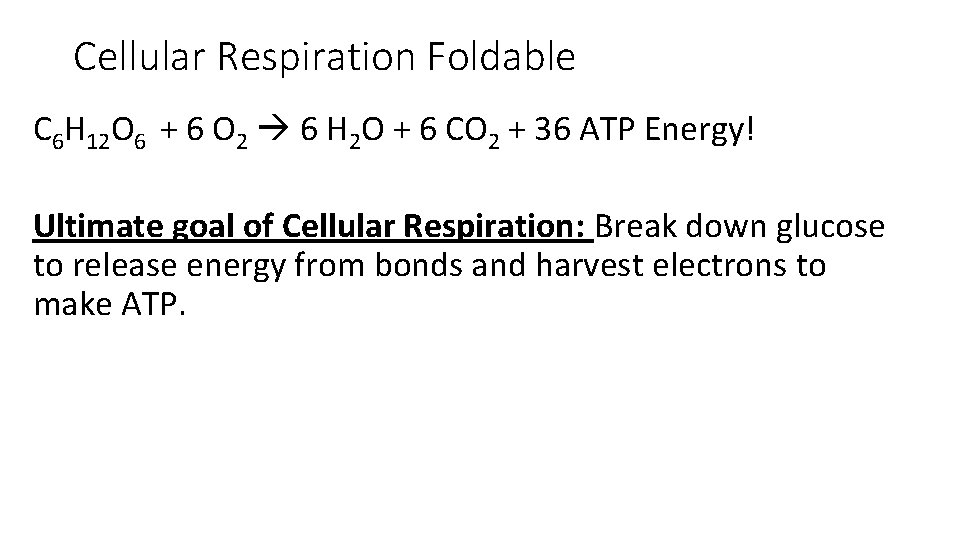 Cellular Respiration Foldable C 6 H 12 O 6 + 6 O 2 6