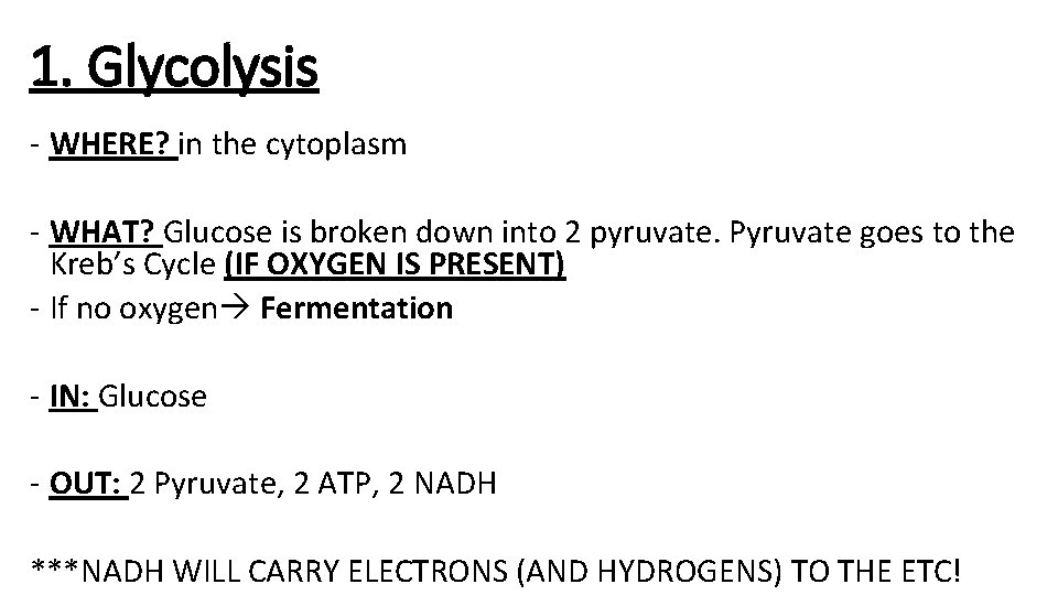 1. Glycolysis - WHERE? in the cytoplasm - WHAT? Glucose is broken down into