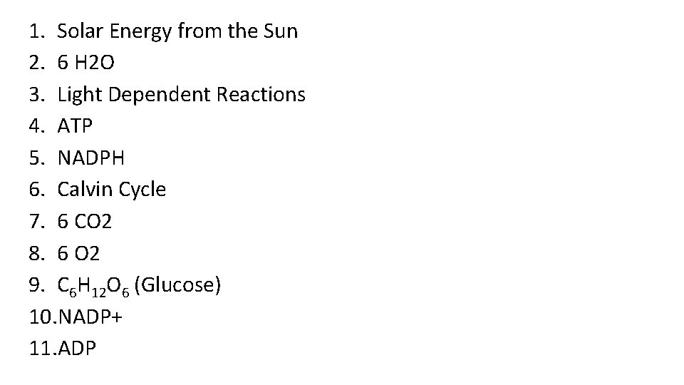 1. Solar Energy from the Sun 2. 6 H 2 O 3. Light Dependent