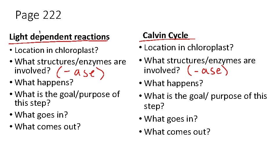 Page 222 Light dependent reactions • Location in chloroplast? • What structures/enzymes are involved?