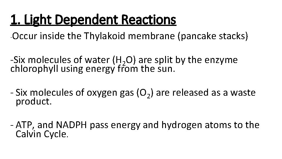 1. Light Dependent Reactions - Occur inside the Thylakoid membrane (pancake stacks) -Six molecules