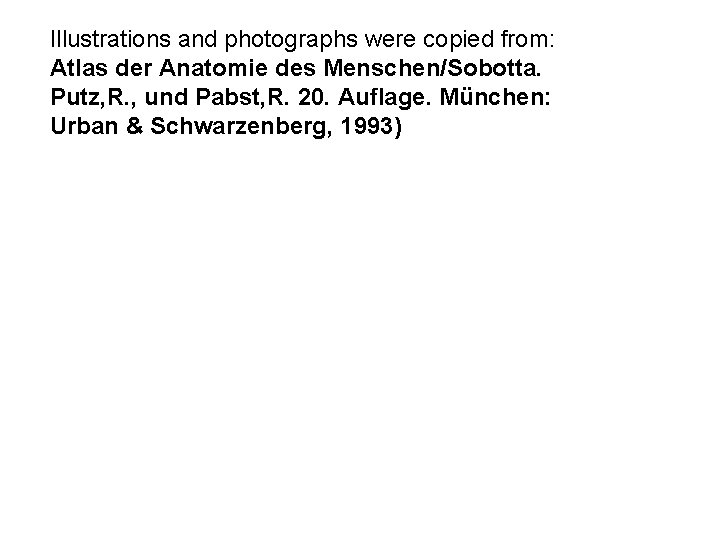 Illustrations and photographs were copied from: Atlas der Anatomie des Menschen/Sobotta. Putz, R. ,
