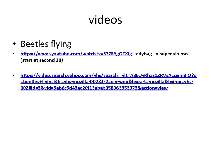 videos • Beetles flying • https: //www. youtube. com/watch? v=S 77 SYg. OZXfg ladybug
