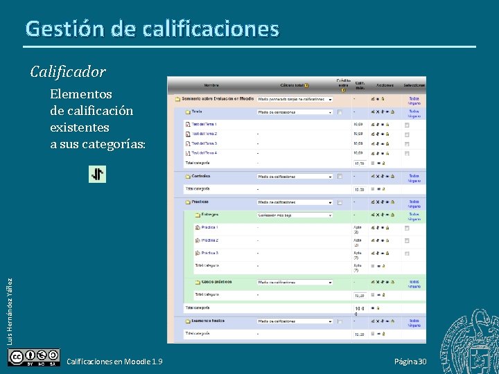 Gestión de calificaciones Calificador Luis Hernández Yáñez Elementos de calificación existentes a sus categorías: