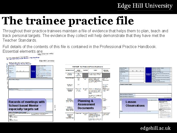 The trainee practice file Throughout their practice trainees maintain a file of evidence that