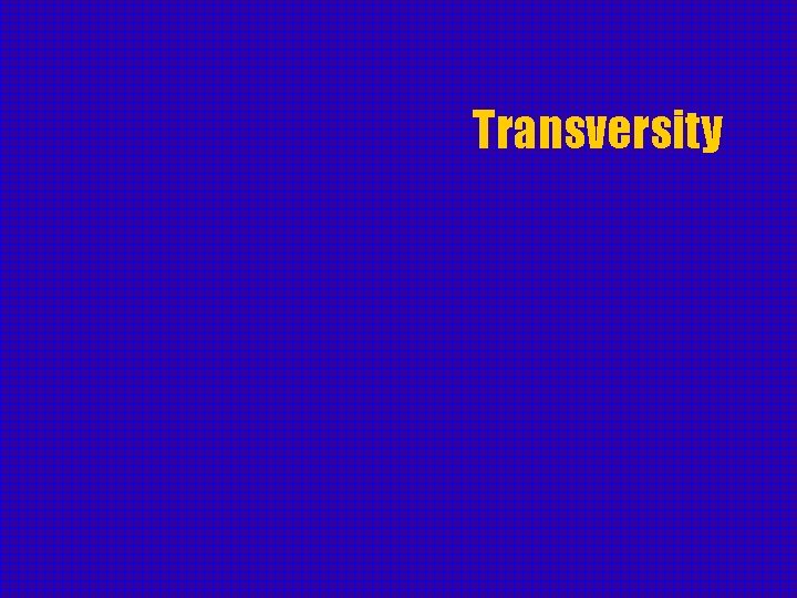 Transversity 