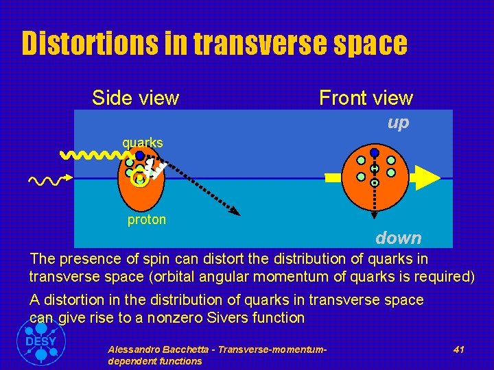 Distortions in transverse space Side view Front view up quarks proton down The presence