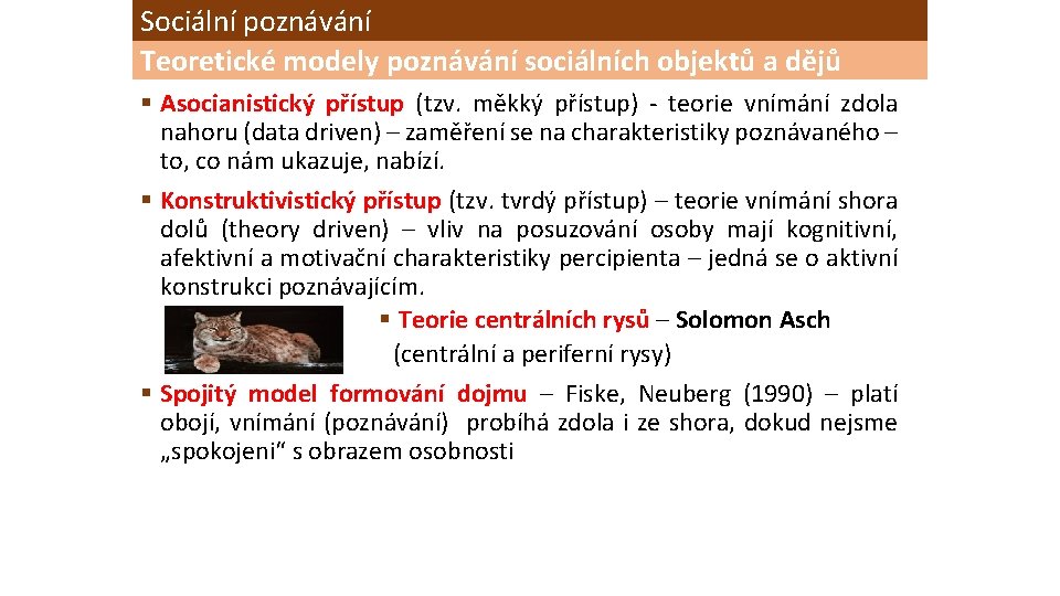 Sociální poznávání Teoretické modely poznávání sociálních objektů a dějů § Asocianistický přístup (tzv. měkký