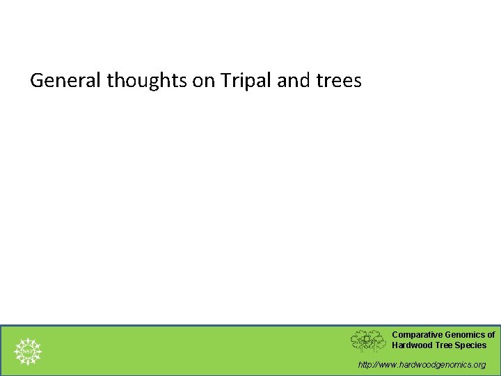The Hardwood Genomics Database Current Status and Future