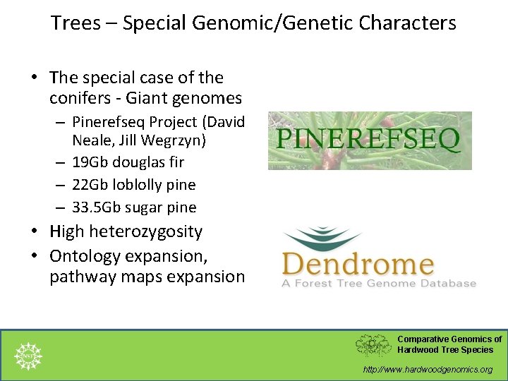 The Hardwood Genomics Database Current Status and Future