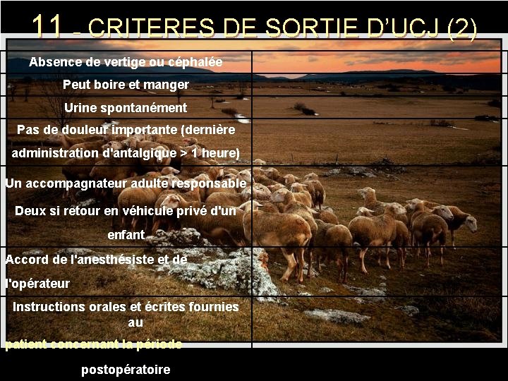 11 – CRITERES DE SORTIE D’UCJ (2) Absence de vertige ou céphalée Peut boire