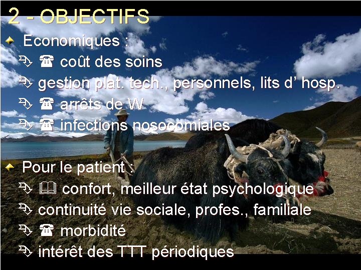 2 - OBJECTIFS Economiques : coût des soins gestion plat. tech. , personnels, lits