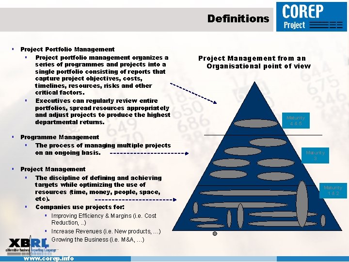 Definitions § Project Portfolio Management § Project portfolio management organizes a series of programmes