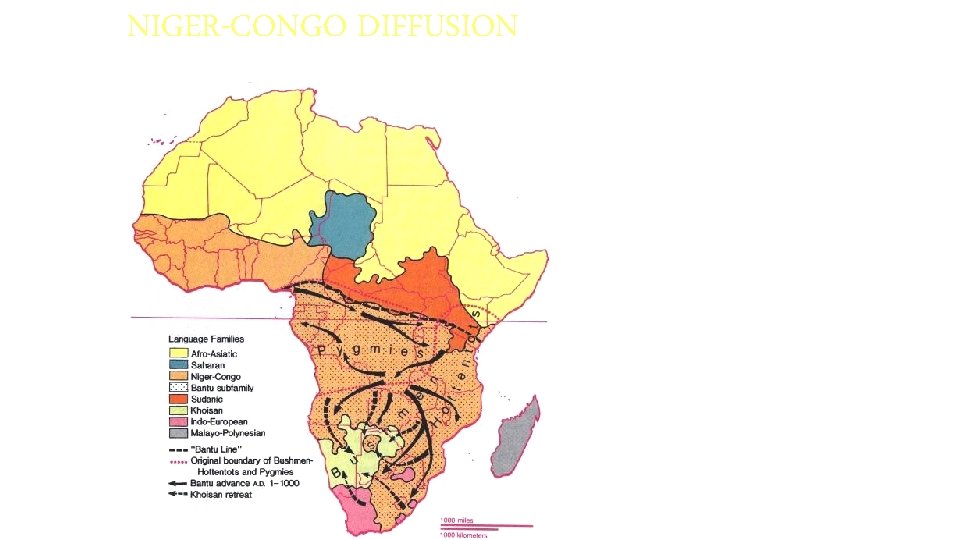 NIGER-CONGO DIFFUSION • proto-Bantu peoples originated in Cameroon-Nigeria • They spread throughout southern Africa