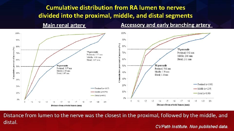 Cumulative distribution from RA lumen to nerves divided into the proximal, middle, and distal