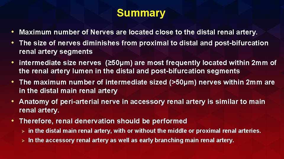 Summary • Maximum number of Nerves are located close to the distal renal artery.