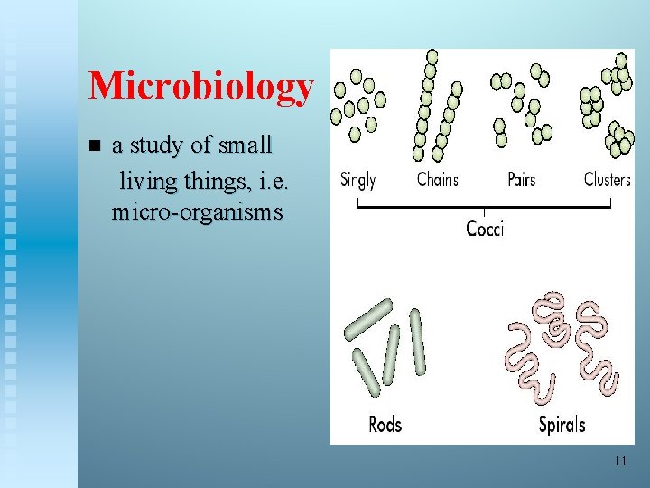 Microbiology n a study of small living things, i. e. micro-organisms 11 