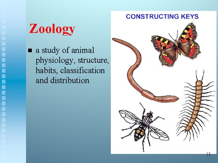 Zoology n a study of animal physiology, structure, habits, classification and distribution 13 