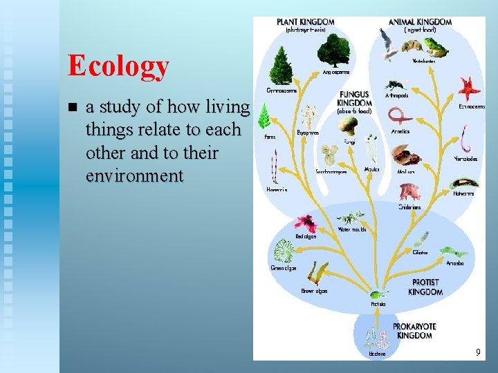Ecology n a study of how living things relate to each other and to