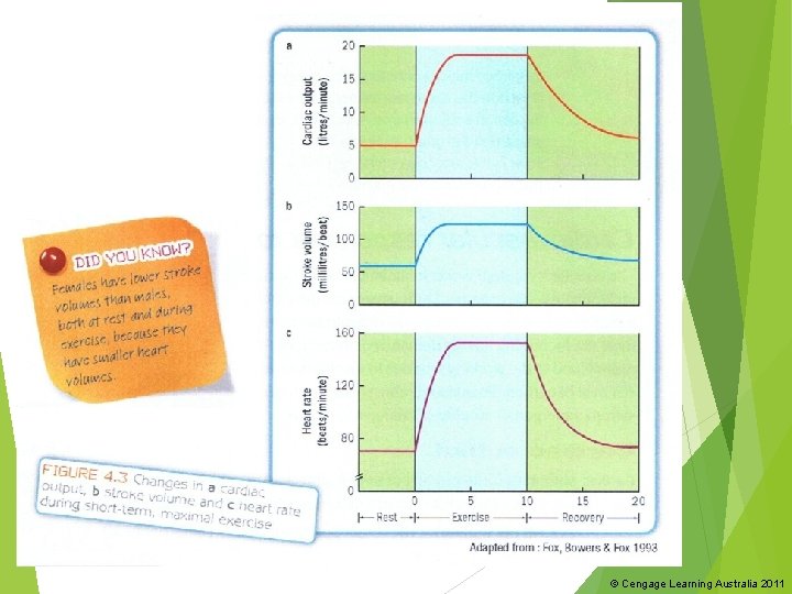© Cengage Learning Australia 2011 