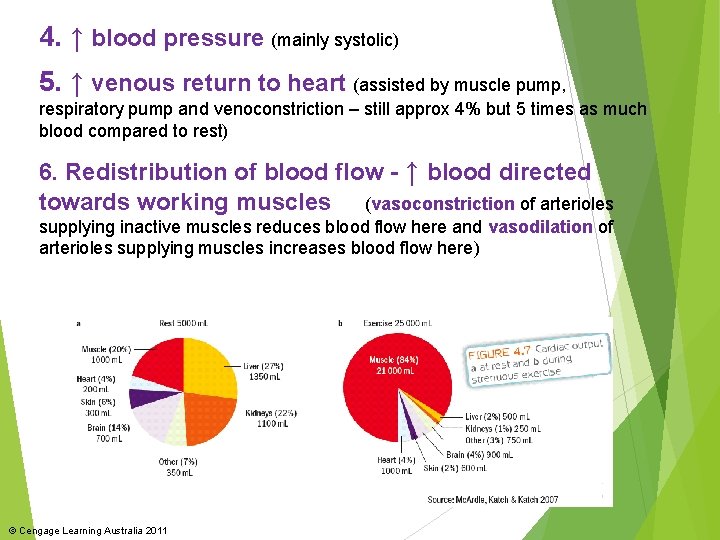 4. ↑ blood pressure (mainly systolic) 5. ↑ venous return to heart (assisted by