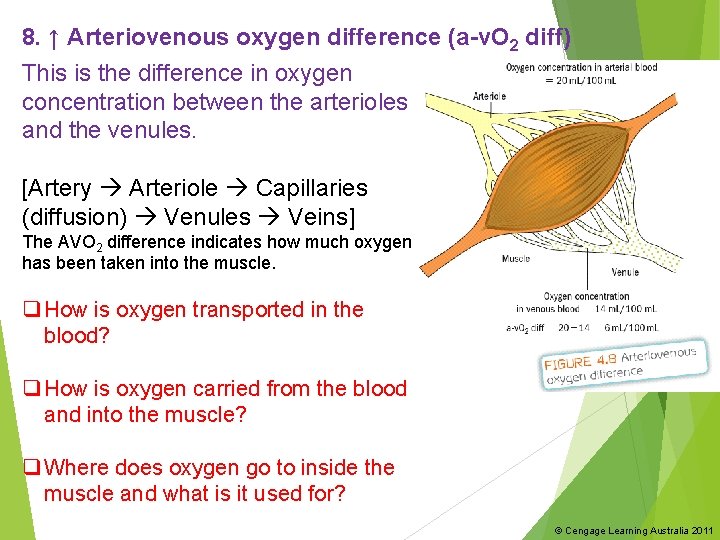 8. ↑ Arteriovenous oxygen difference (a-v. O 2 diff) This is the difference in