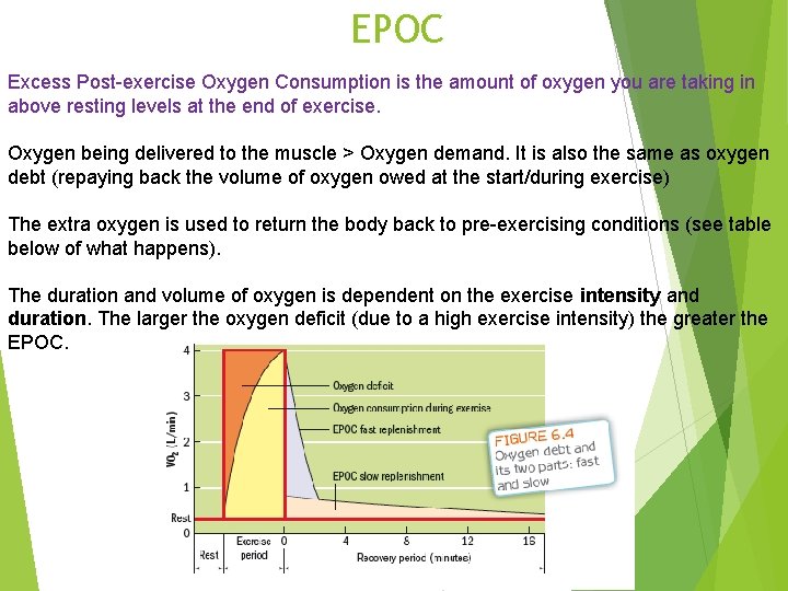 EPOC Excess Post-exercise Oxygen Consumption is the amount of oxygen you are taking in