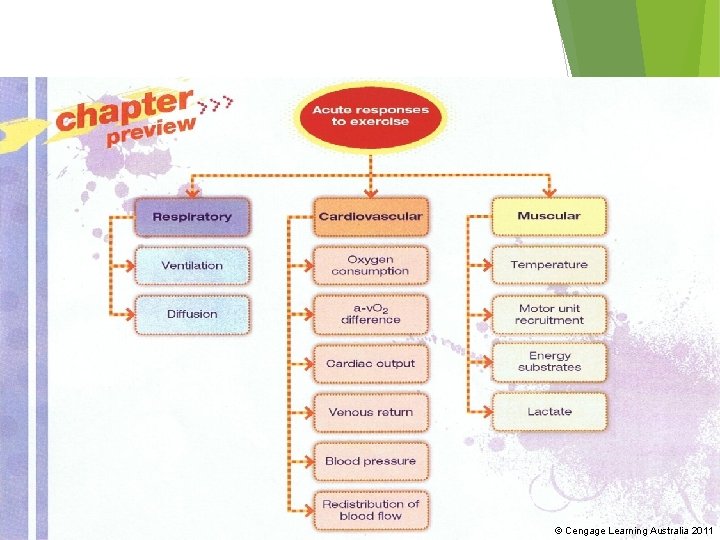 © Cengage Learning Australia 2011 