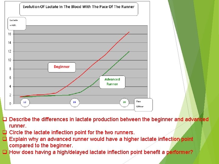 q Describe the differences in lactate production between the beginner and advanced runner. q