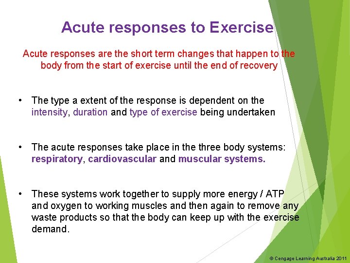 Acute responses to Exercise Acute responses are the short term changes that happen to