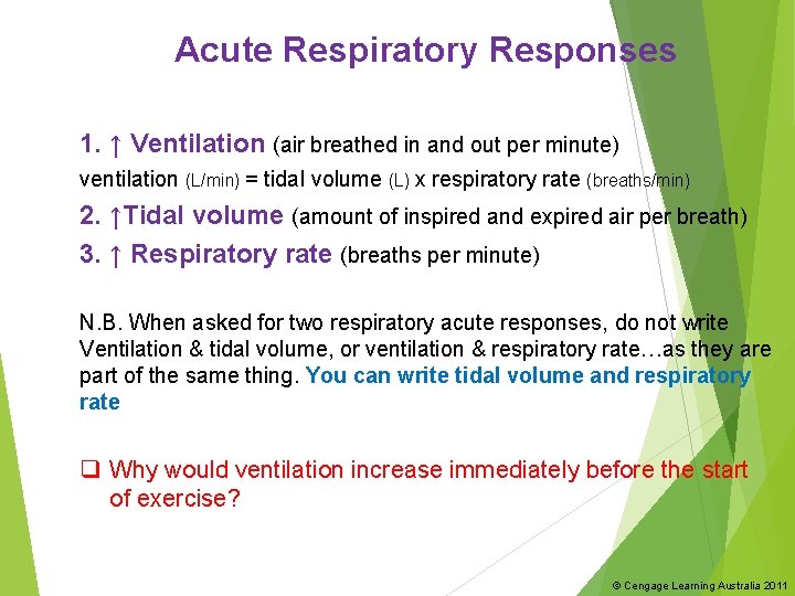 Acute Respiratory Responses 1. ↑ Ventilation (air breathed in and out per minute) ventilation