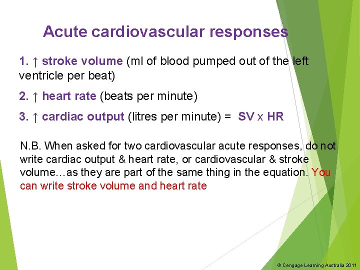 Acute cardiovascular responses 1. ↑ stroke volume (ml of blood pumped out of the