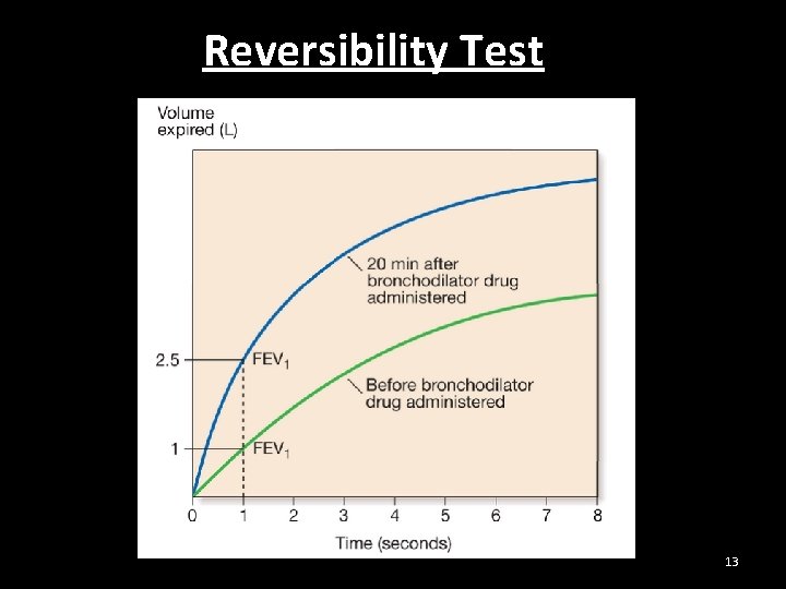 Reversibility Test 13 
