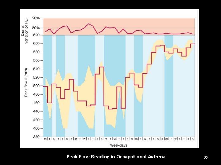 Peak Flow Reading in Occupational Asthma 36 