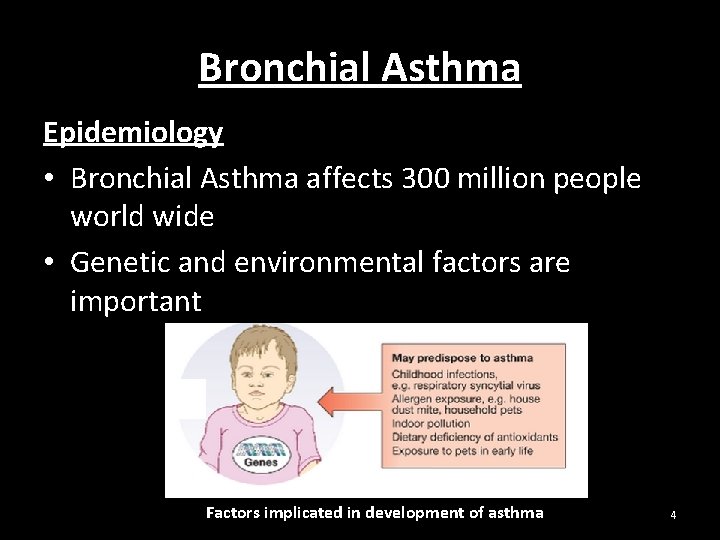 Bronchial Asthma Epidemiology • Bronchial Asthma affects 300 million people world wide • Genetic