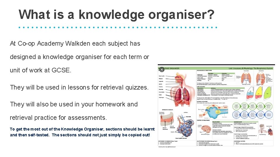 Using a knowledge organiser Mrs Ball Assistant Principal