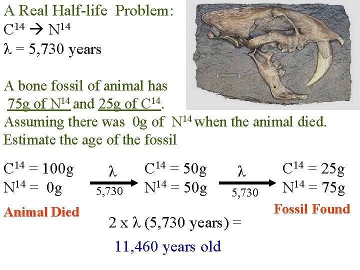 A Real Half-life Problem: C 14 N 14 λ = 5, 730 years A