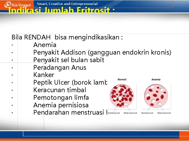 Indikasi Jumlah Eritrosit : Bila RENDAH bisa mengindikasikan : · Anemia · Penyakit Addison
