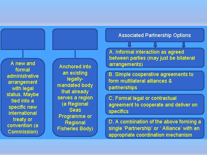 Associated Partnership Options A new and formal administrative arrangement with legal status. Maybe tied