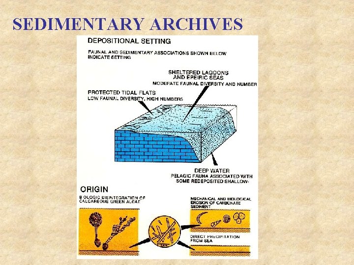 SEDIMENTARY ARCHIVES 