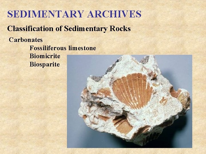 SEDIMENTARY ARCHIVES Classification of Sedimentary Rocks Carbonates Fossiliferous limestone Biomicrite Biosparite 
