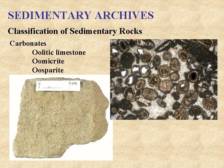 SEDIMENTARY ARCHIVES Classification of Sedimentary Rocks Carbonates Oolitic limestone Oomicrite Oosparite 