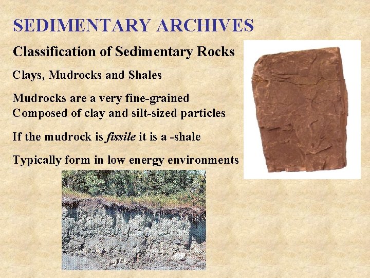 SEDIMENTARY ARCHIVES Classification of Sedimentary Rocks Clays, Mudrocks and Shales Mudrocks are a very