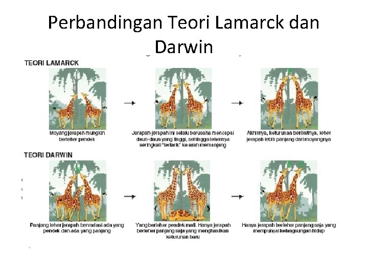Perbandingan Teori Lamarck dan Darwin 