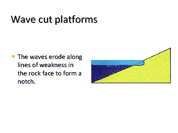 Wave cut platforms • The waves erode along lines of weakness in the rock