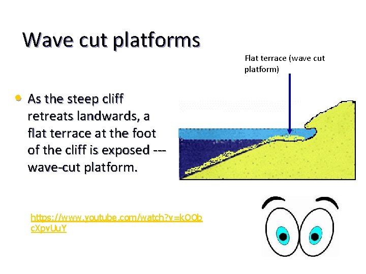 Wave cut platforms • As the steep cliff retreats landwards, a flat terrace at