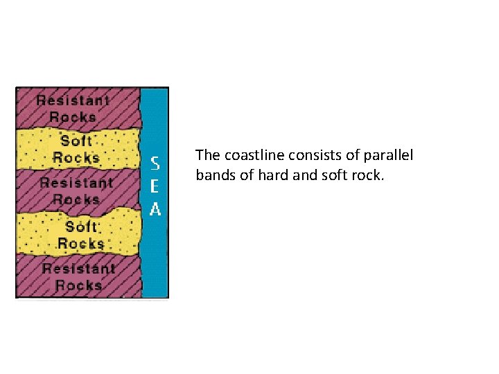 The coastline consists of parallel bands of hard and soft rock. 